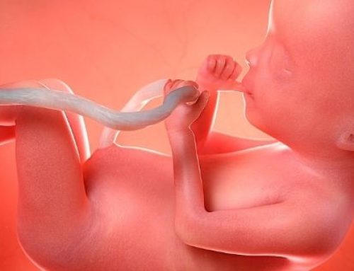 Estados se posicionan contra regulación que permitirá practicar abortos con fondos federales en EE. UU.