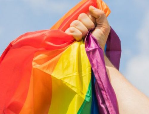 Efectos del mes del orgullo LGBT (parte 2)