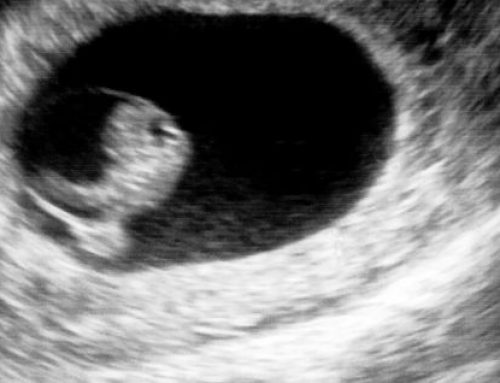 Tribunal de Alabama (EE. UU.) reconoce como personas a embriones creados in vitro