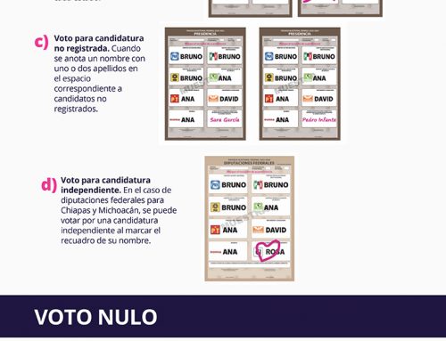 Voto válido y voto nulo